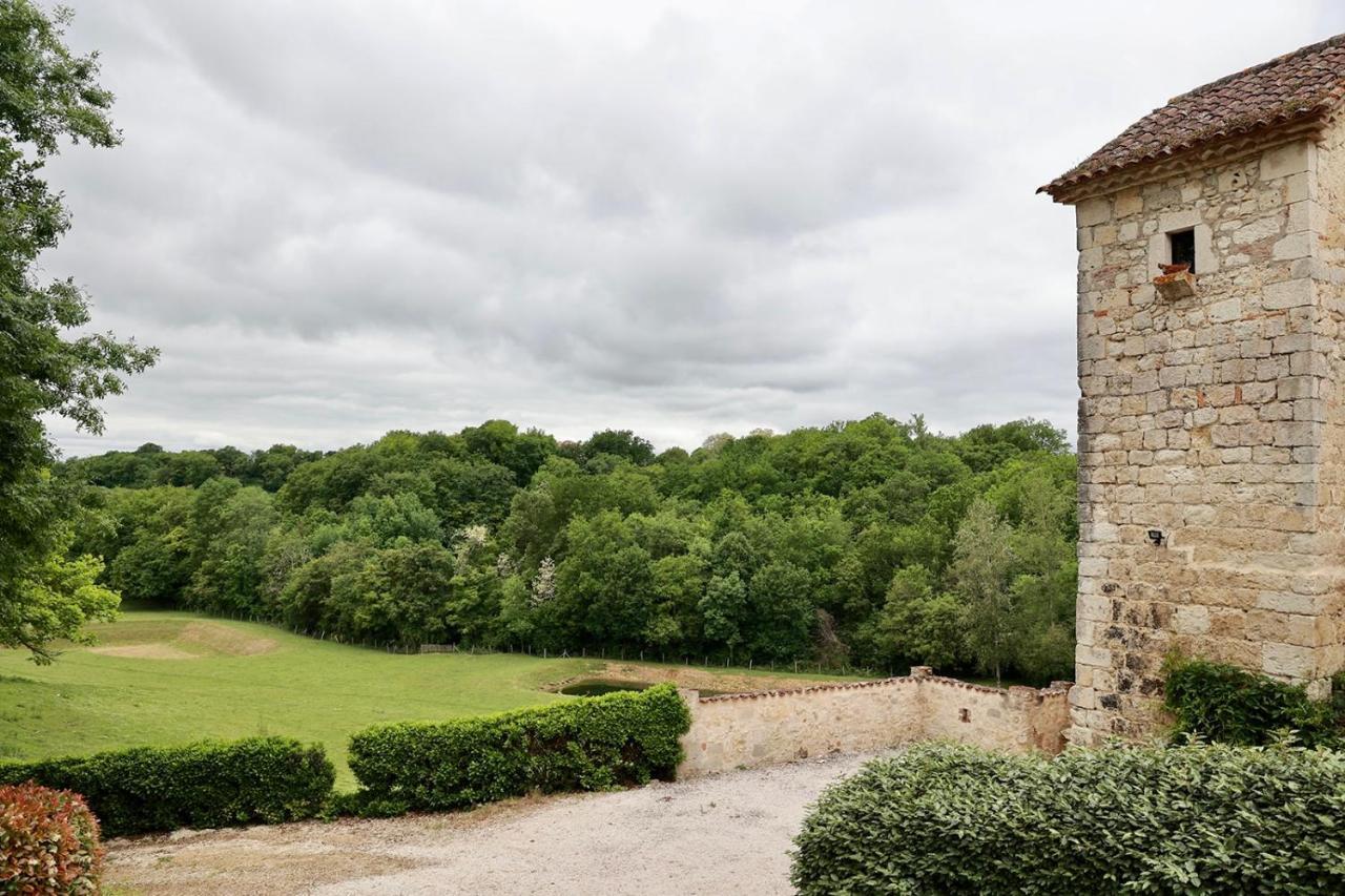 Chateau De Pleneselve Bon-Encontre المظهر الخارجي الصورة