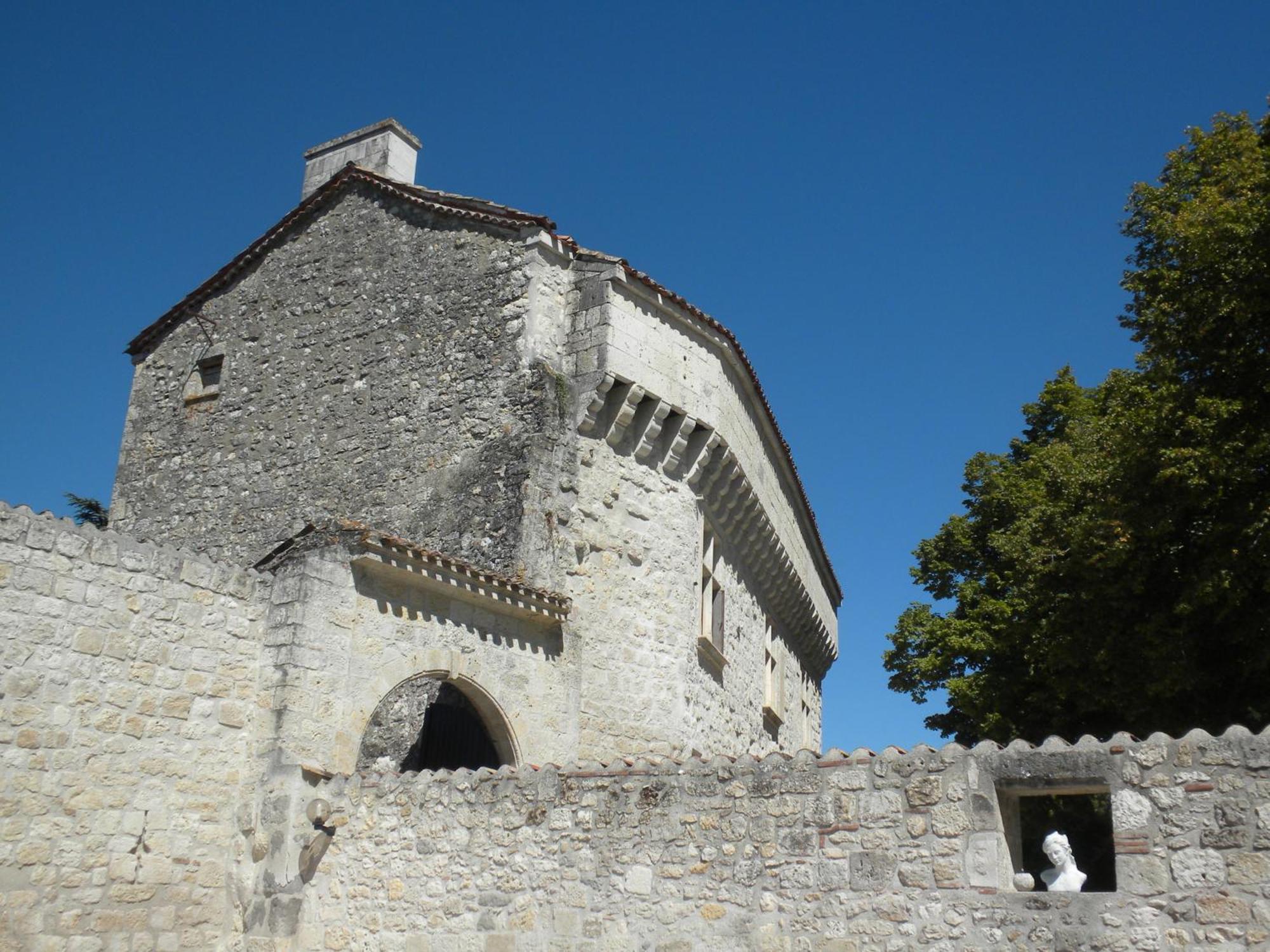 Chateau De Pleneselve Bon-Encontre المظهر الخارجي الصورة