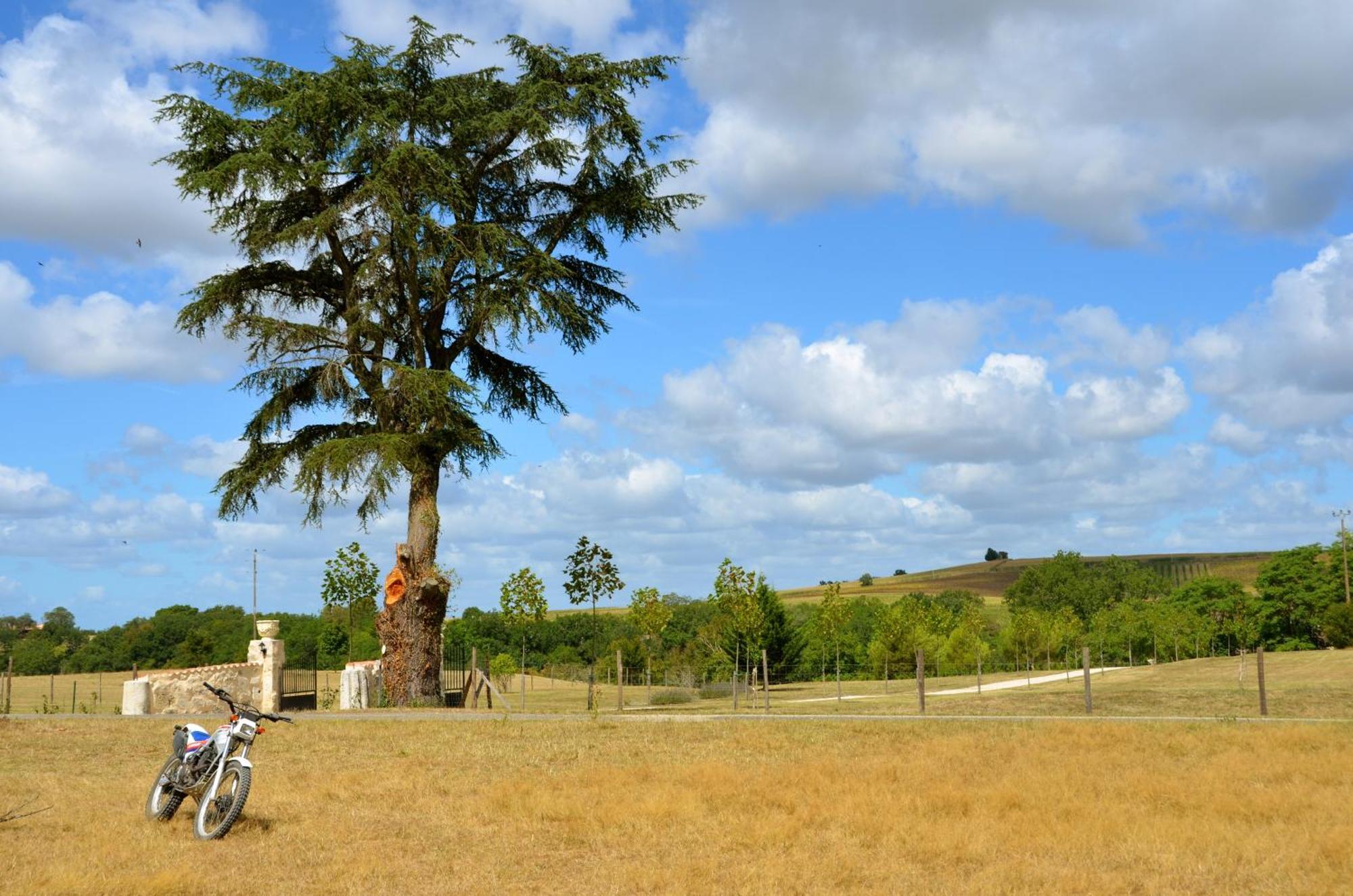 Chateau De Pleneselve Bon-Encontre المظهر الخارجي الصورة