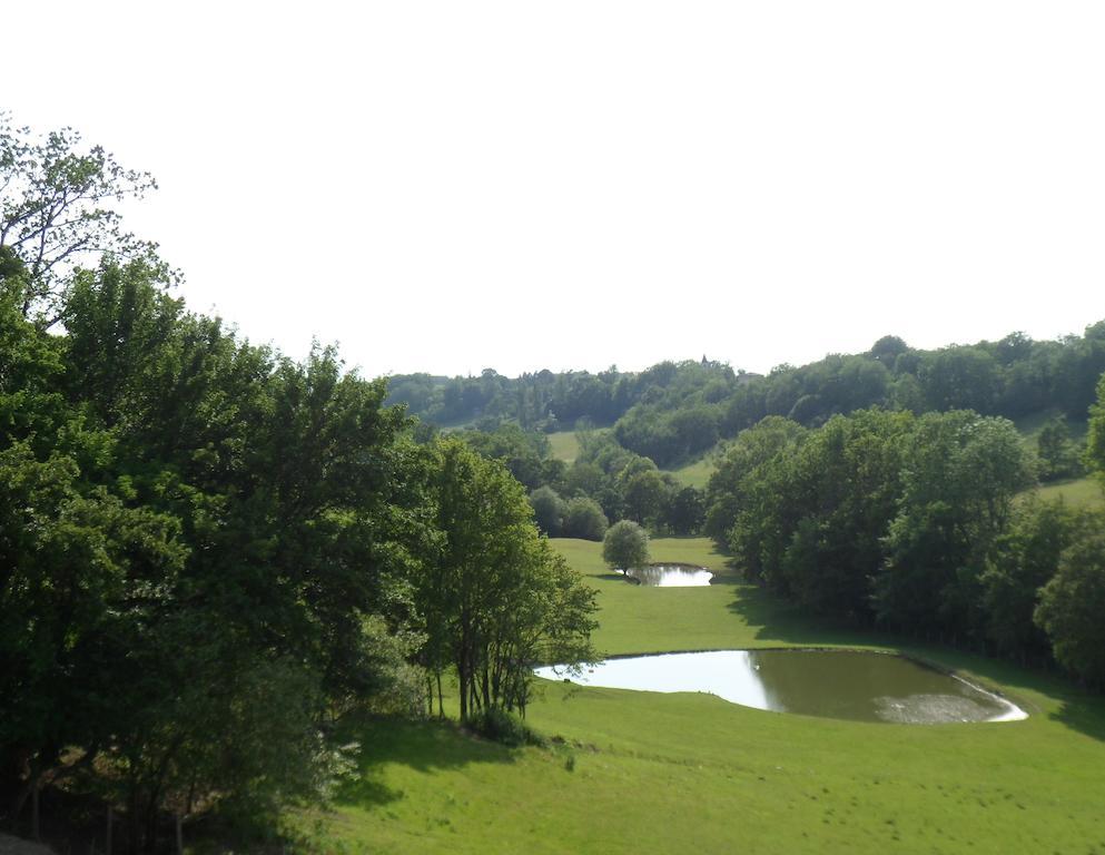Chateau De Pleneselve Bon-Encontre الغرفة الصورة